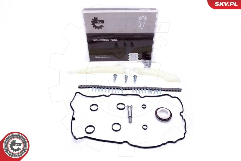 Timing Chain Kit